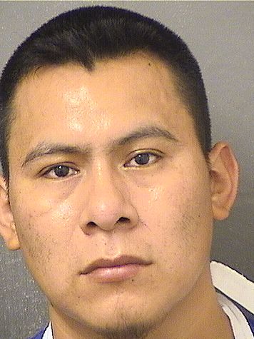  MIGUEL BARTOLOME Results from Palm Beach County Florida for  MIGUEL BARTOLOME