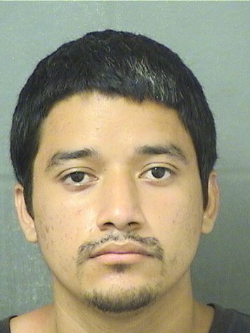  JOSE ANTONIO GONZALEZ Results from Palm Beach County Florida for  JOSE ANTONIO GONZALEZ