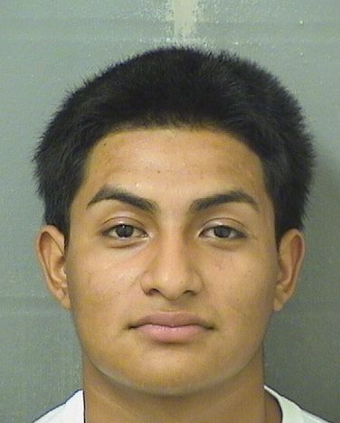  CELVI A ORTIZ GOMEZ Results from Palm Beach County Florida for  CELVI A ORTIZ GOMEZ