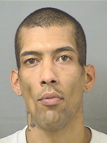  RICARDO MORALES BRAVO Results from Palm Beach County Florida for  RICARDO MORALES BRAVO