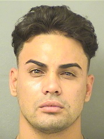  ANGEL LUIS VIERA HERNANDEZ Results from Palm Beach County Florida for  ANGEL LUIS VIERA HERNANDEZ