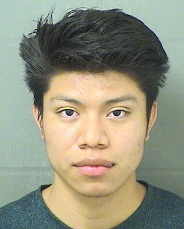 JERRY BERDUOROBLERO Results from Palm Beach County Florida for JERRY BERDUOROBLERO JERRY BERDUOROBLERO Results from Palm Beach County Florida for JERRY BERDUOROBLERO