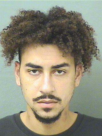  JOEL ALBERTO JARES Results from Palm Beach County Florida for  JOEL ALBERTO JARES