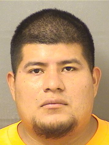  MARCO MEDINA Results from Palm Beach County Florida for  MARCO MEDINA