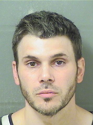  ANTHONY L DEPAOLO Resultados de la busqueda para Palm Beach County Florida para  ANTHONY L DEPAOLO