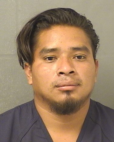  ALFONSO ORDONEZMENDEZ Results from Palm Beach County Florida for  ALFONSO ORDONEZMENDEZ