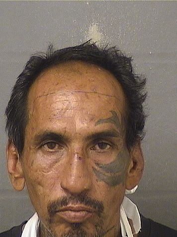  MARGARITO PATINA Results from Palm Beach County Florida for  MARGARITO PATINA