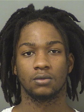  RONARLDO SANON Results from Palm Beach County Florida for  RONARLDO SANON