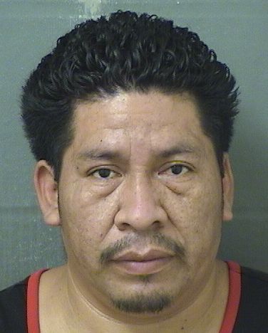  MILTON ABEL GONZALEZSANCHEZ Results from Palm Beach County Florida for  MILTON ABEL GONZALEZSANCHEZ