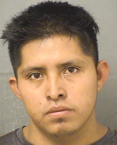  ARMANDON TOMAS BERDUORAMIREZ Photo For  ARMANDON TOMAS BERDUORAMIREZ