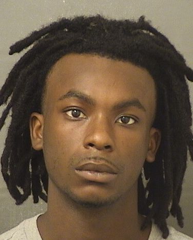  IVORY DAVIDJ HUDSON Results from Palm Beach County Florida for  IVORY DAVIDJ HUDSON