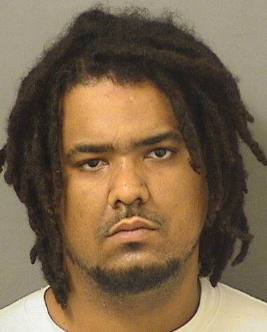  JAMES MICHAEL EASLEY Results from Palm Beach County Florida for  JAMES MICHAEL EASLEY