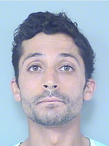  ABDULLAH ALKALALDEH Results from Palm Beach County Florida for  ABDULLAH ALKALALDEH