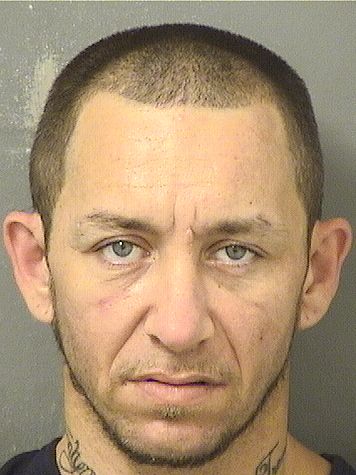  GEORGE NELSON TIMMES Resultados de la busqueda para Palm Beach County Florida para  GEORGE NELSON TIMMES
