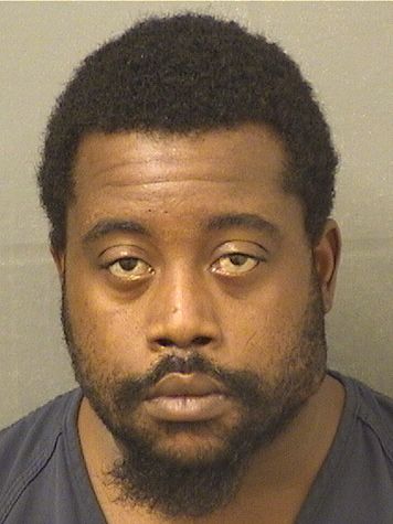  ANGELO C NELSON Results from Palm Beach County Florida for  ANGELO C NELSON