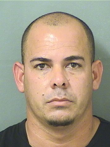  YEIDAN ESTRADA GARCIA Results from Palm Beach County Florida for  YEIDAN ESTRADA GARCIA