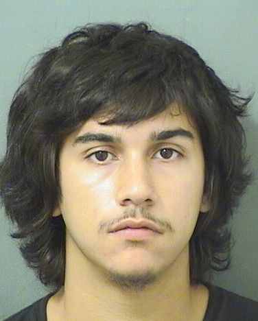  TIYEAAS NAAHZHIR DYER Results from Palm Beach County Florida for  TIYEAAS NAAHZHIR DYER