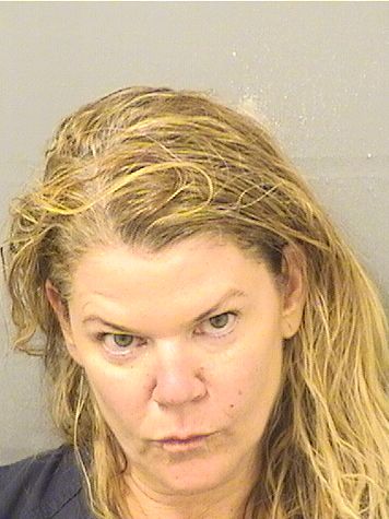  ELIZABETH SANDERSON Results from Palm Beach County Florida for  ELIZABETH SANDERSON