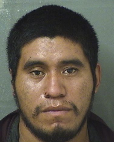 MARCO GORDINEZ Results from Palm Beach County Florida for MARCO GORDINEZ MARCO GORDINEZ Results from Palm Beach County Florida for MARCO GORDINEZ
