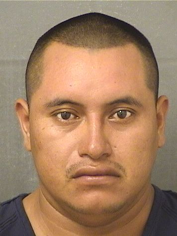  MIGUEL DEPAZ Photo For  MIGUEL DEPAZ