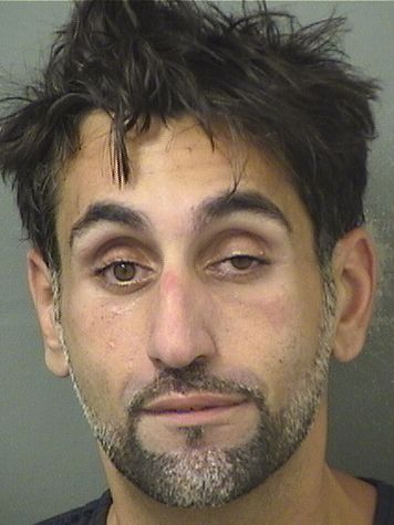  CHRISTOPHER S MITCHELL Results from Palm Beach County Florida for  CHRISTOPHER S MITCHELL