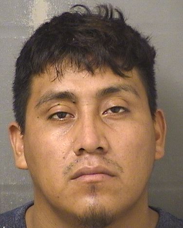  HILARIO ABEL SONTAYGONZALEZ Results from Palm Beach County Florida for  HILARIO ABEL SONTAYGONZALEZ