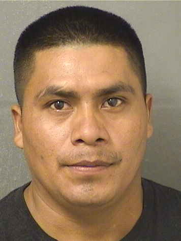  SALVADOR FELIX GONZALEZ Resultados de la busqueda para Palm Beach County Florida para  SALVADOR FELIX GONZALEZ