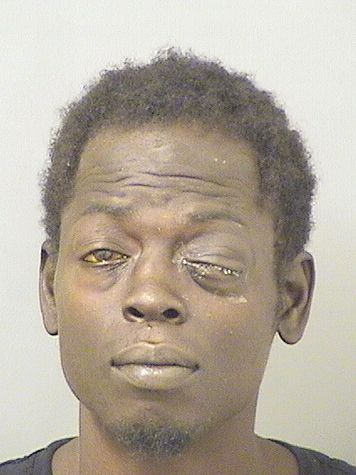  CALVIN LOUIS BRYANT Results from Palm Beach County Florida for  CALVIN LOUIS BRYANT