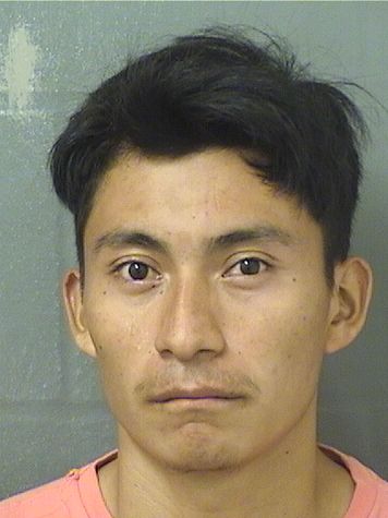  GASPAR DAVID TERRAZADEPAZ Results from Palm Beach County Florida for  GASPAR DAVID TERRAZADEPAZ