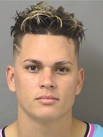  YUNIESKY RODRIGUEZHERNANDEZ Results from Palm Beach County Florida for  YUNIESKY RODRIGUEZHERNANDEZ