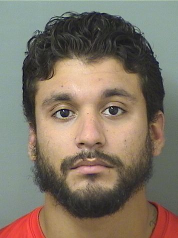  LEO ALEXANDER ALONSO Results from Palm Beach County Florida for  LEO ALEXANDER ALONSO