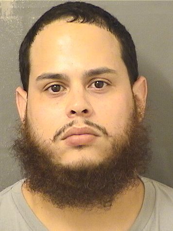  CHRISTOPHER PI PACHECO Results from Palm Beach County Florida for  CHRISTOPHER PI PACHECO