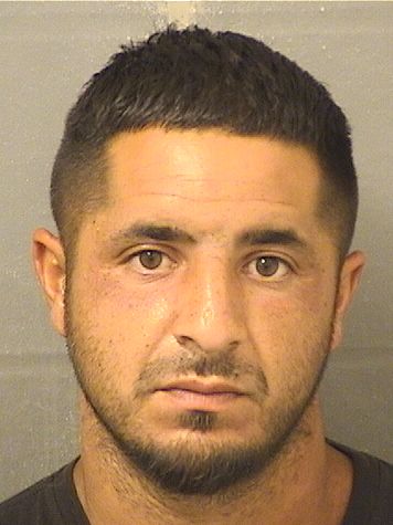  MATHEW JOSEPH ZAMORA Results from Palm Beach County Florida for  MATHEW JOSEPH ZAMORA