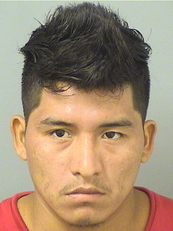  TOMAS CORNELIO BRITOSOLIZ Results from Palm Beach County Florida for  TOMAS CORNELIO BRITOSOLIZ