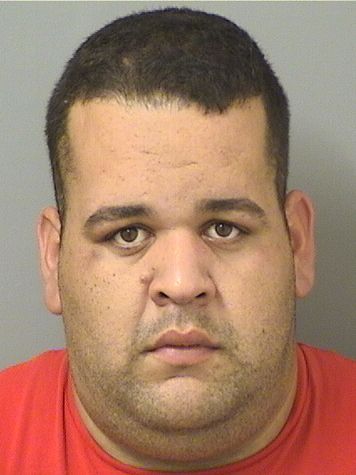  JORGE LUIS ALFONSOLUIS Results from Palm Beach County Florida for  JORGE LUIS ALFONSOLUIS