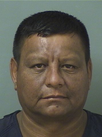  LORENZO ANDRADE Results from Palm Beach County Florida for  LORENZO ANDRADE