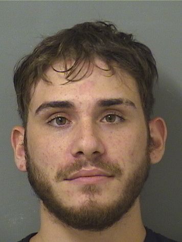  DANILO ALVAREZZAYAS Results from Palm Beach County Florida for  DANILO ALVAREZZAYAS