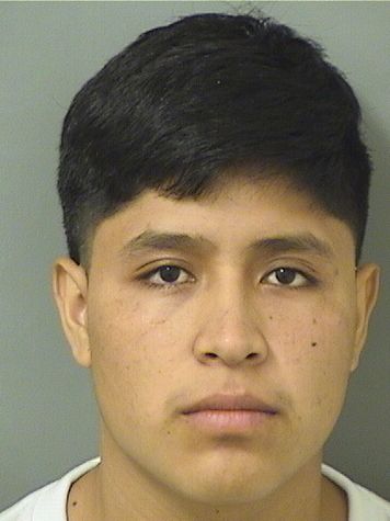  BRANDON ANANIAS AGUILARYOC Results from Palm Beach County Florida for  BRANDON ANANIAS AGUILARYOC