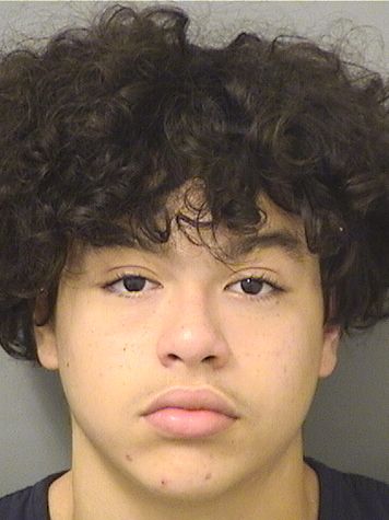  GERMAN ISSAH DEJESUS Results from Palm Beach County Florida for  GERMAN ISSAH DEJESUS