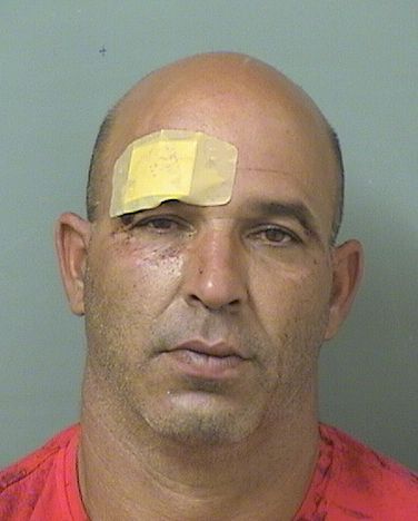 JUAN LUIS FERNANDEZHERNANDEZ Results from Palm Beach County Florida for JUAN LUIS FERNANDEZHERNANDEZ JUAN LUIS FERNANDEZHERNANDEZ Results from Palm Beach County Florida for JUAN LUIS FERNANDEZHERNANDEZ