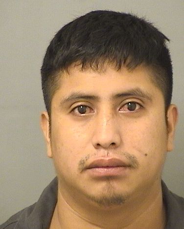  ALFREDO LEONEL LOPEZLOPEZ Photo For  ALFREDO LEONEL LOPEZLOPEZ