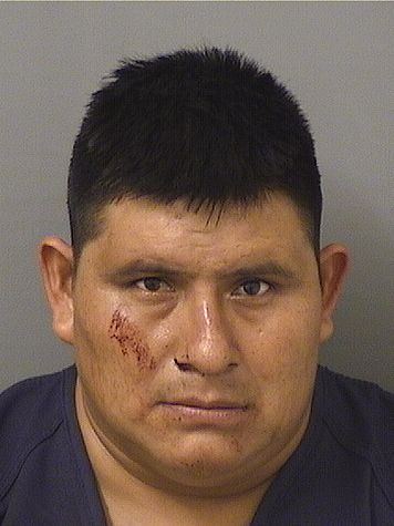  MARIO SEBASTIANFRANCISCO Photo For  MARIO SEBASTIANFRANCISCO