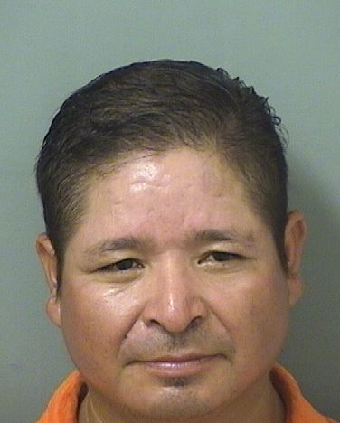  JESUS DIAZPEREZ Results from Palm Beach County Florida for  JESUS DIAZPEREZ