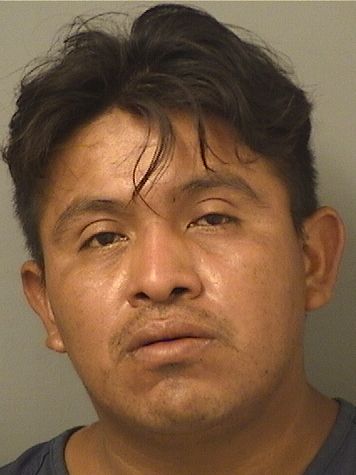  ALVARO LOPEZCABRERA Results from Palm Beach County Florida for  ALVARO LOPEZCABRERA