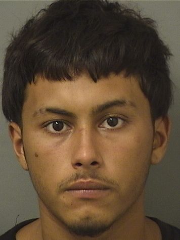  ALFONSO RAMIREZ Results from Palm Beach County Florida for  ALFONSO RAMIREZ