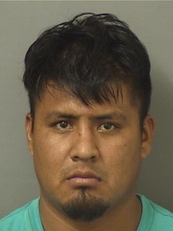  MANUEL DEJESUS ROSSILVESTRE Results from Palm Beach County Florida for  MANUEL DEJESUS ROSSILVESTRE