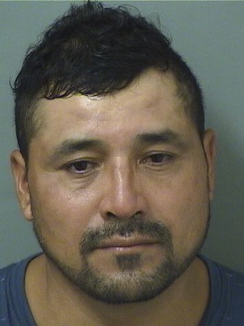  MAINOR FRANCISCO PACHECODELEON Results from Palm Beach County Florida for  MAINOR FRANCISCO PACHECODELEON