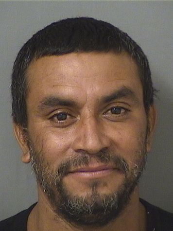 LUIS ANGEL LAREDOBUSTOS Photos For  LUIS ANGEL LAREDOBUSTOS  LUIS ANGEL LAREDOBUSTOS Photo For  LUIS ANGEL LAREDOBUSTOS