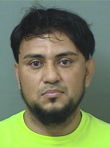  NELSON LICONALEVIA Photo For  NELSON LICONALEVIA