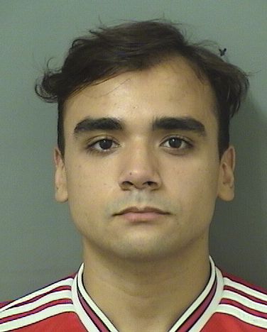  ANGEL DAVID CAMACHO Results from Palm Beach County Florida for  ANGEL DAVID CAMACHO